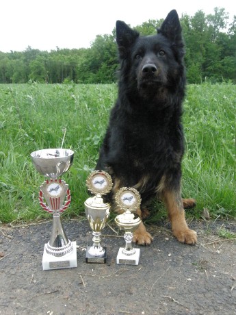 15.05.2010 Speciální výstava Jeseník